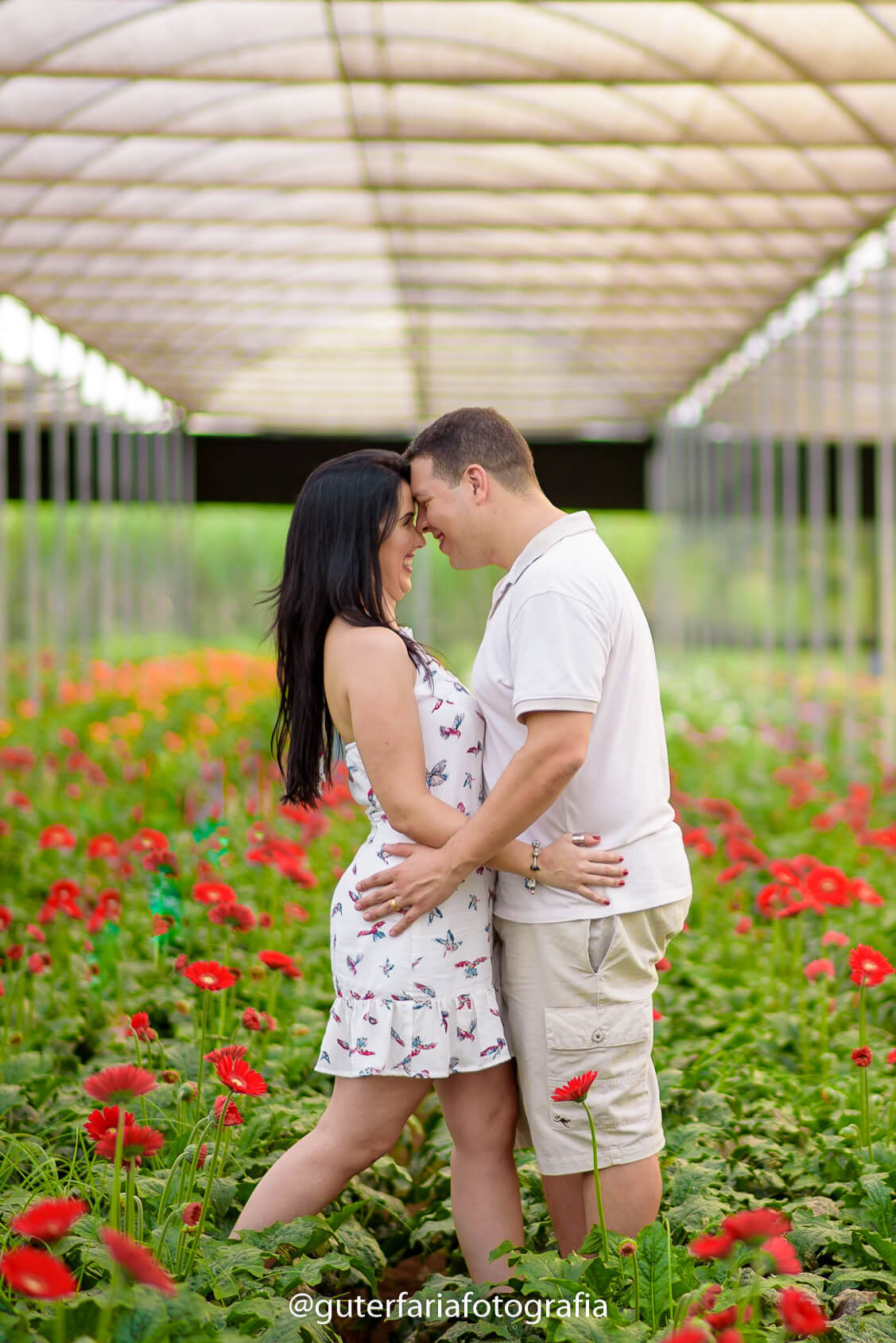 fotógrafo-em-Holambra