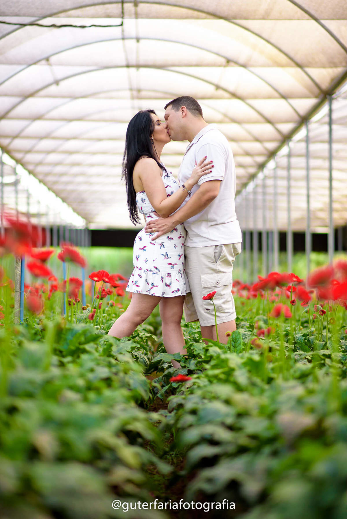 ensaio-no-campo-de-flores, Ensaio-em-Holambra.