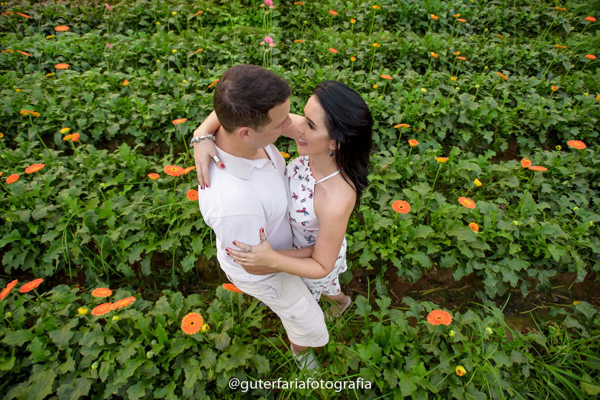 plantação-de-flores