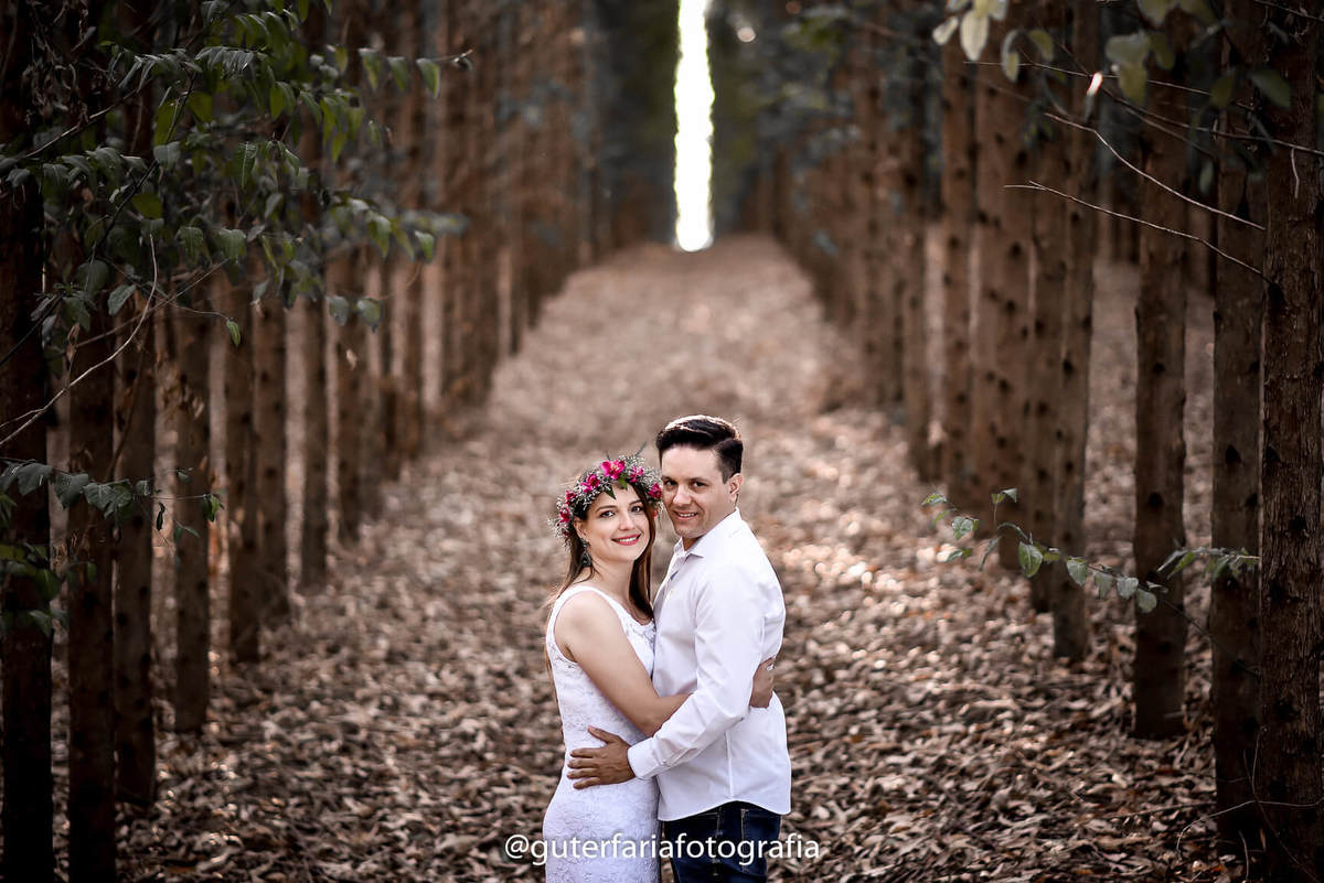 eucaliptos, Holambra, deserto, natureza, verde, Piracicaba, Limeira, Cosmópolis, Campinas, Paulínia, Americana, Jundiaí, Limeira, Pedreira, Rodeio, casamento