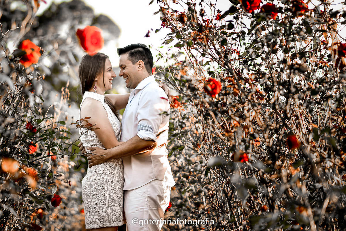 fores, Holambra, jardim, gardem, flowers, ceasa, decorador,