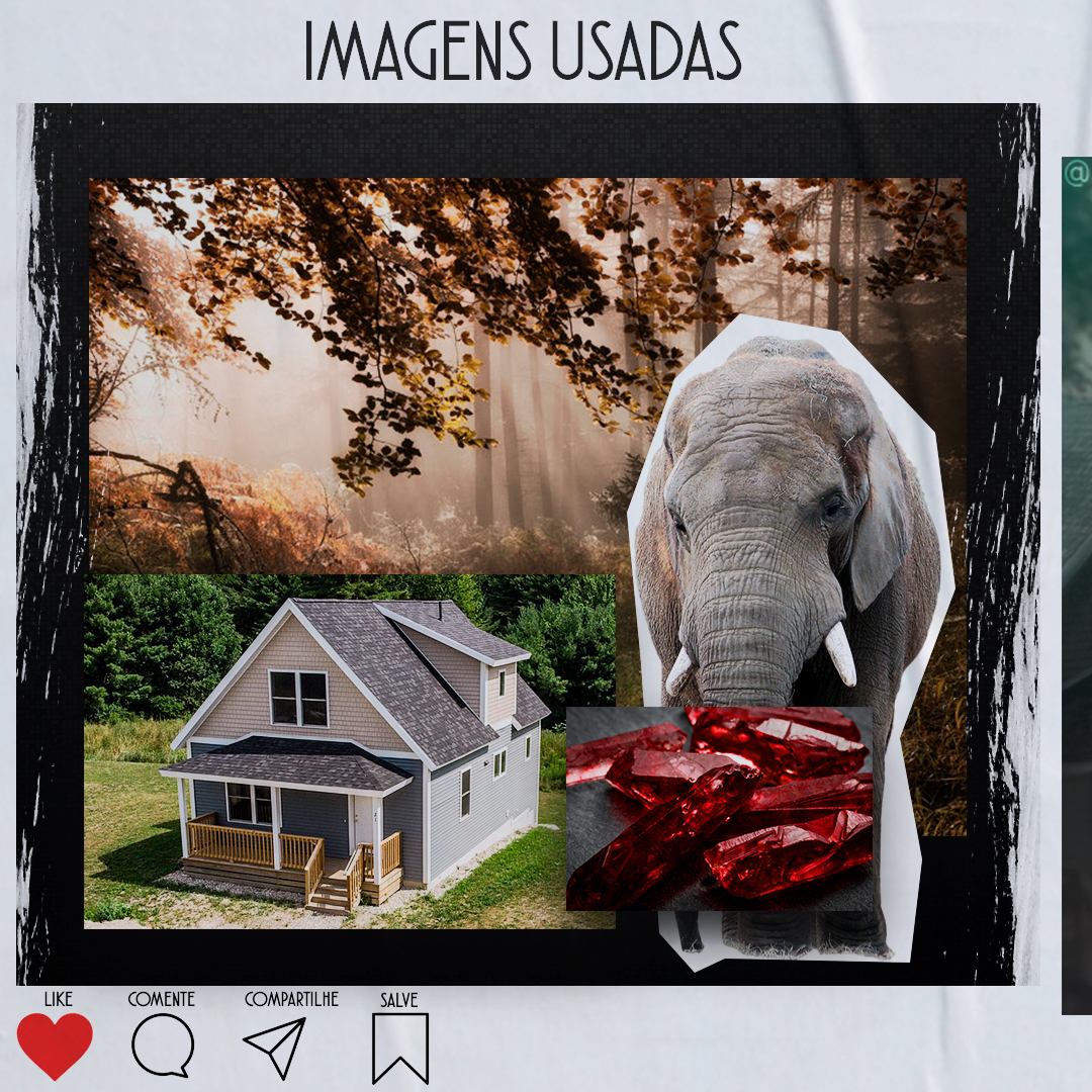 IMAGENS USADAS