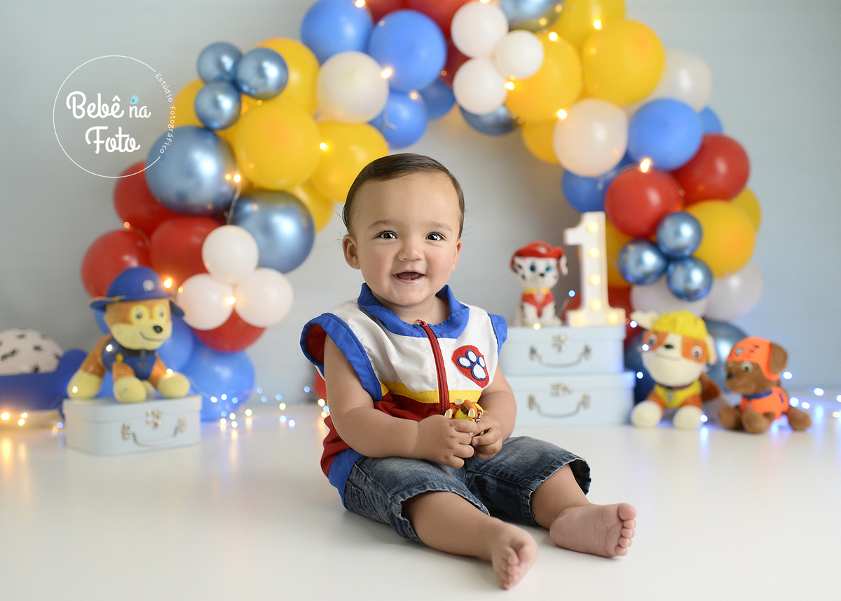 smash patrulha canina