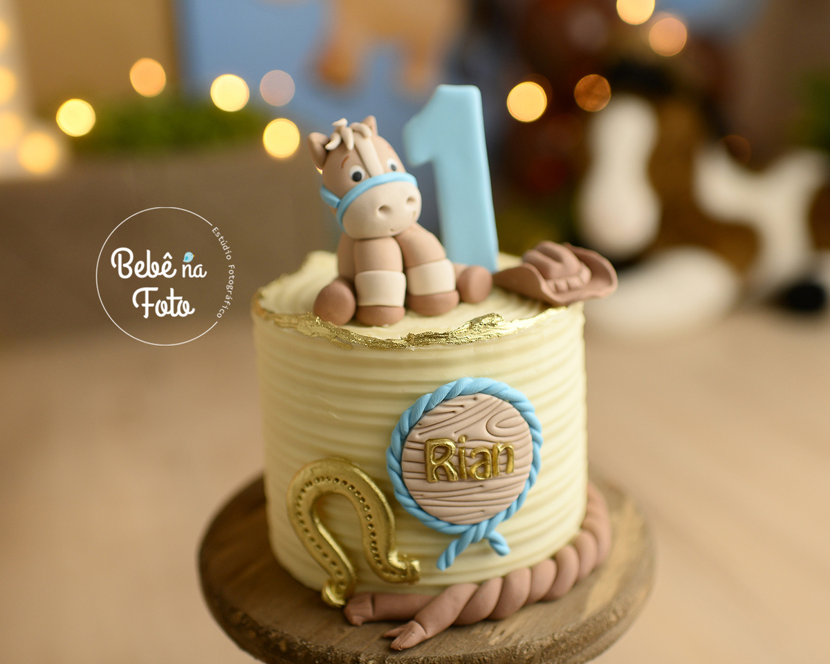 bolo tema cavalo