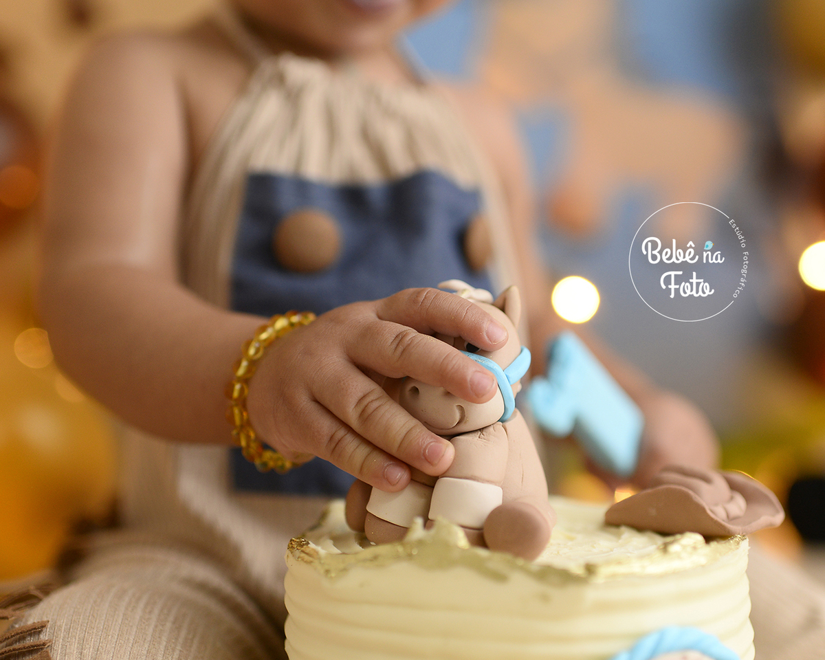 fotógrafa referência em smash the cake