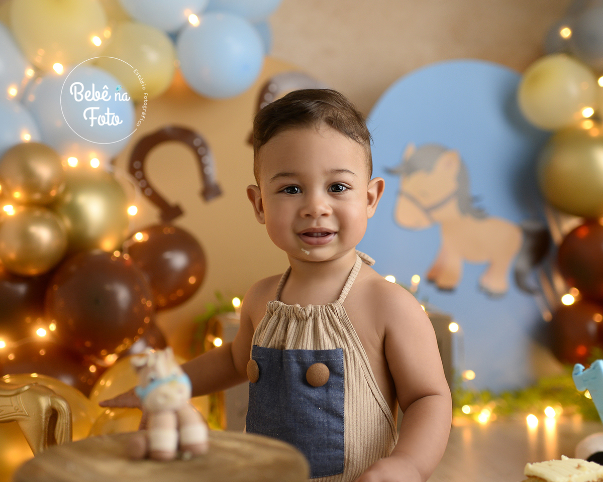 ensaio 1 aninho tema cavalos