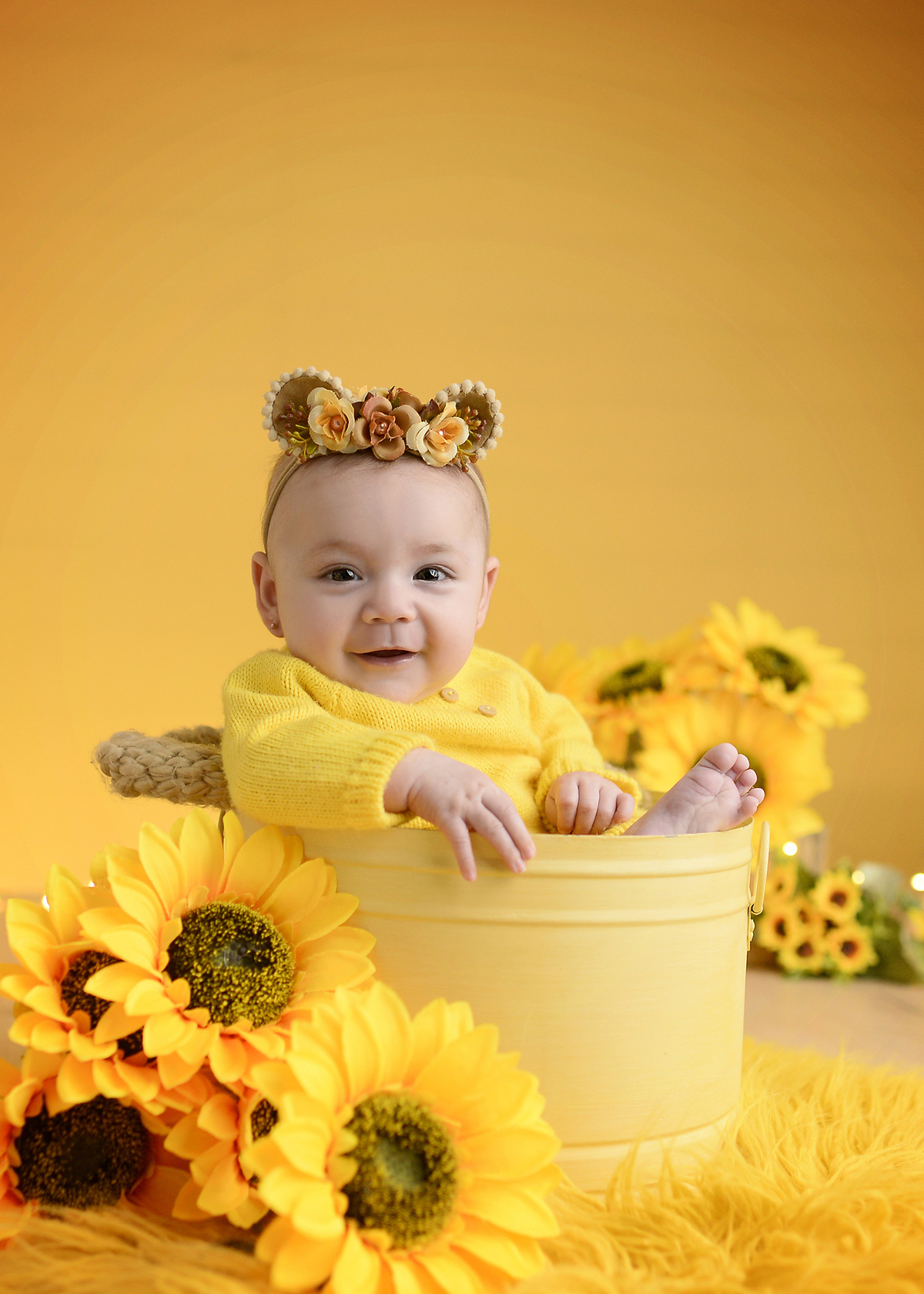 acompanhamento mensal 