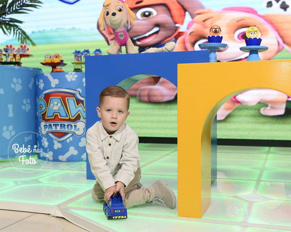 decoração patrulha canina