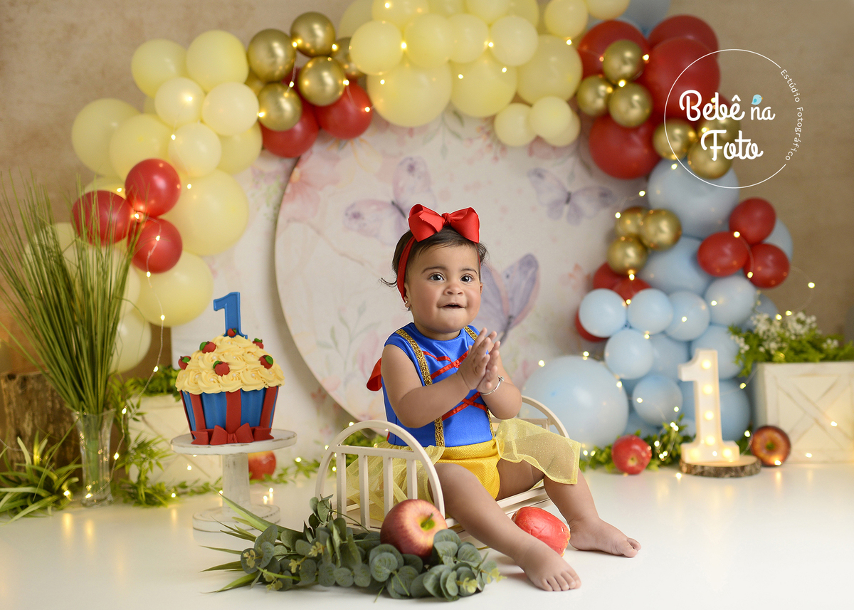 book smash branca de neve