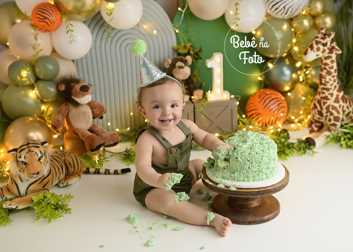 book com bolo safari