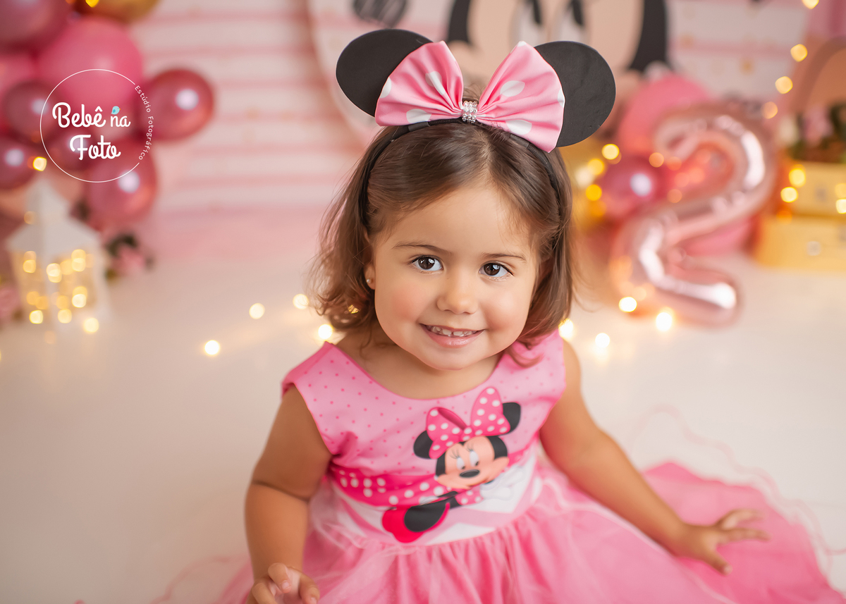 book 2 aninhos minnie porto alegre