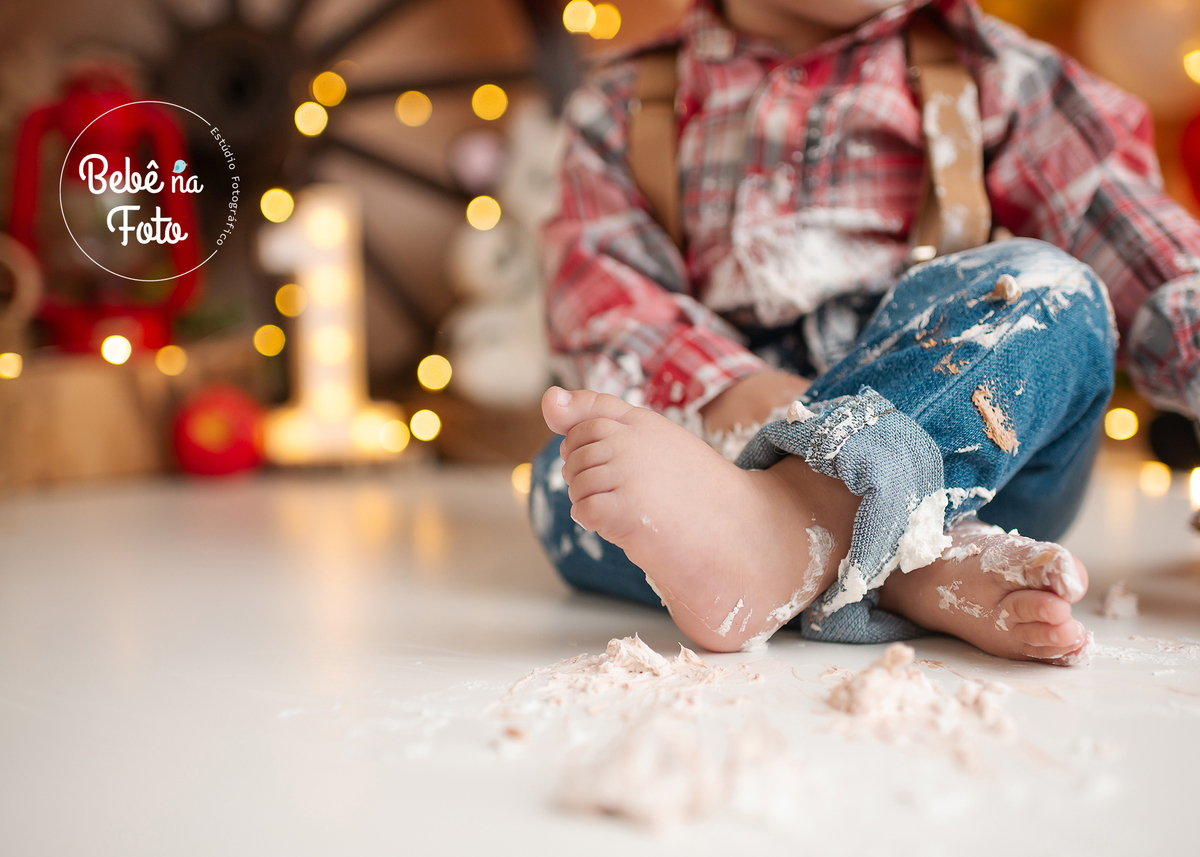 ensaio fotográfico 1 aninho fazendinha