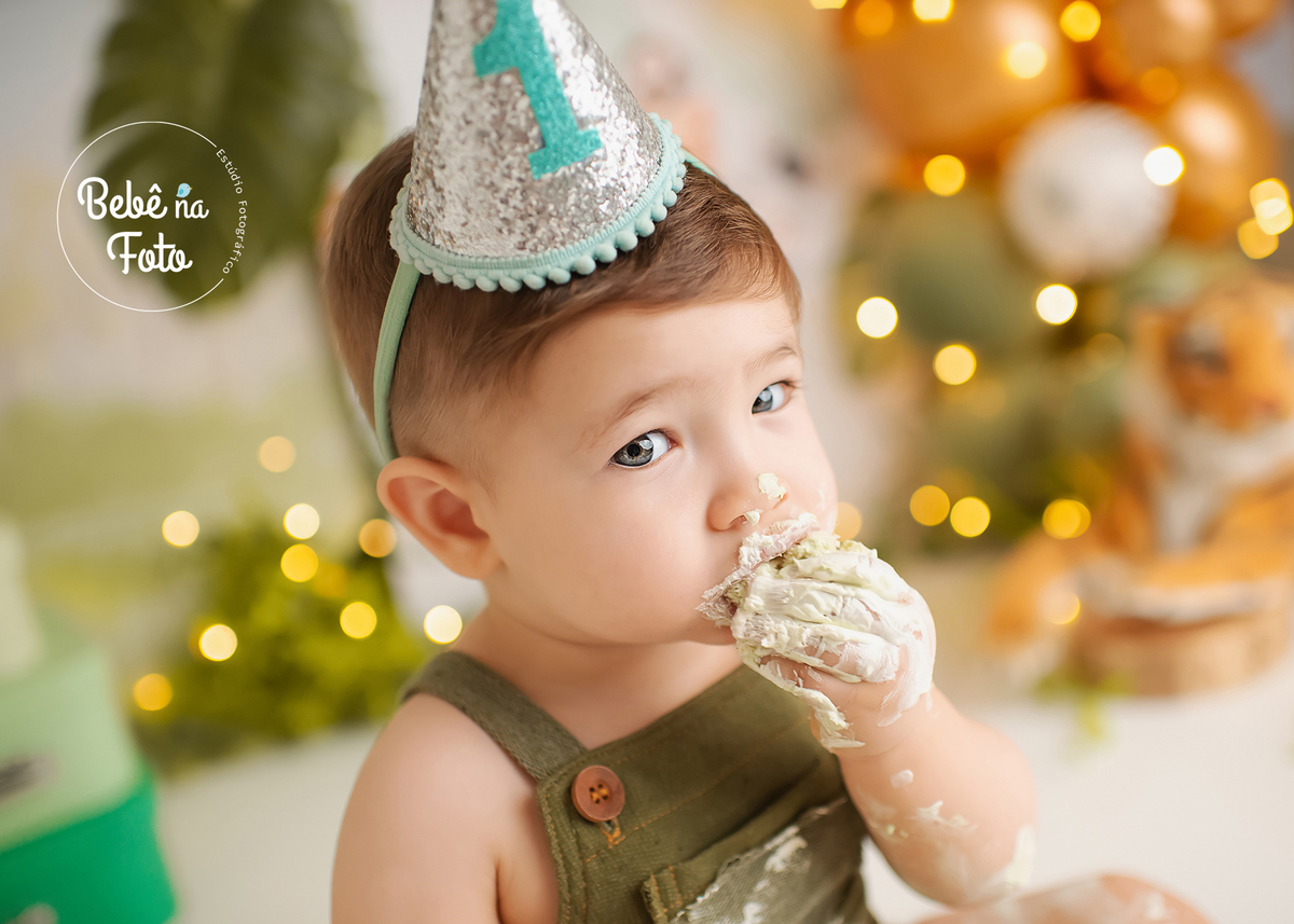 book safari 1 aninho