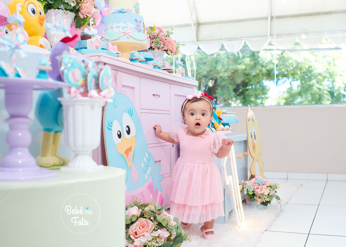 festa de 1 aninho
