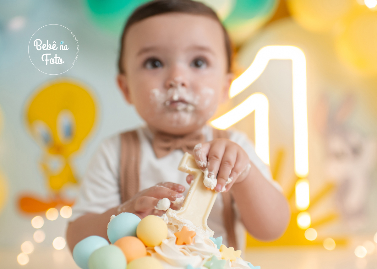 book 1 aninho looney tunes