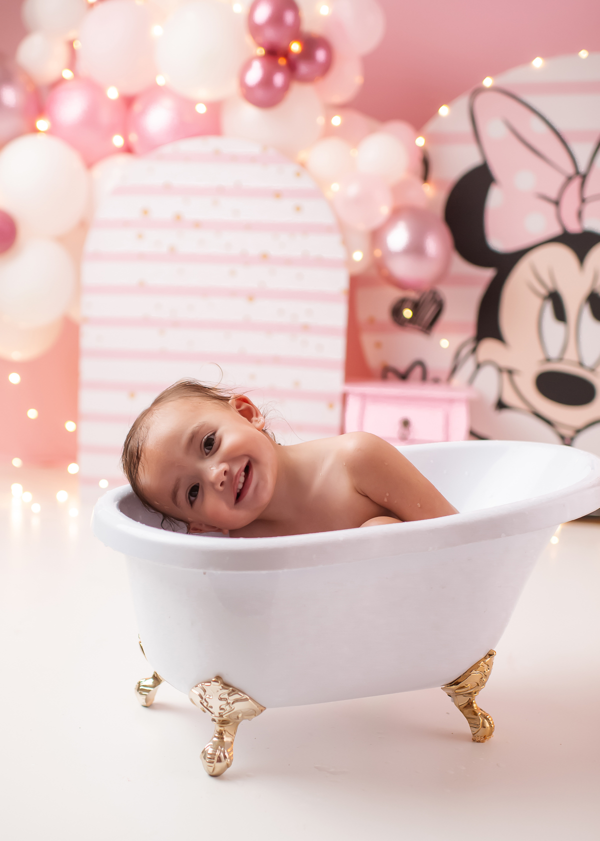 book 2 aninhos porto alegre