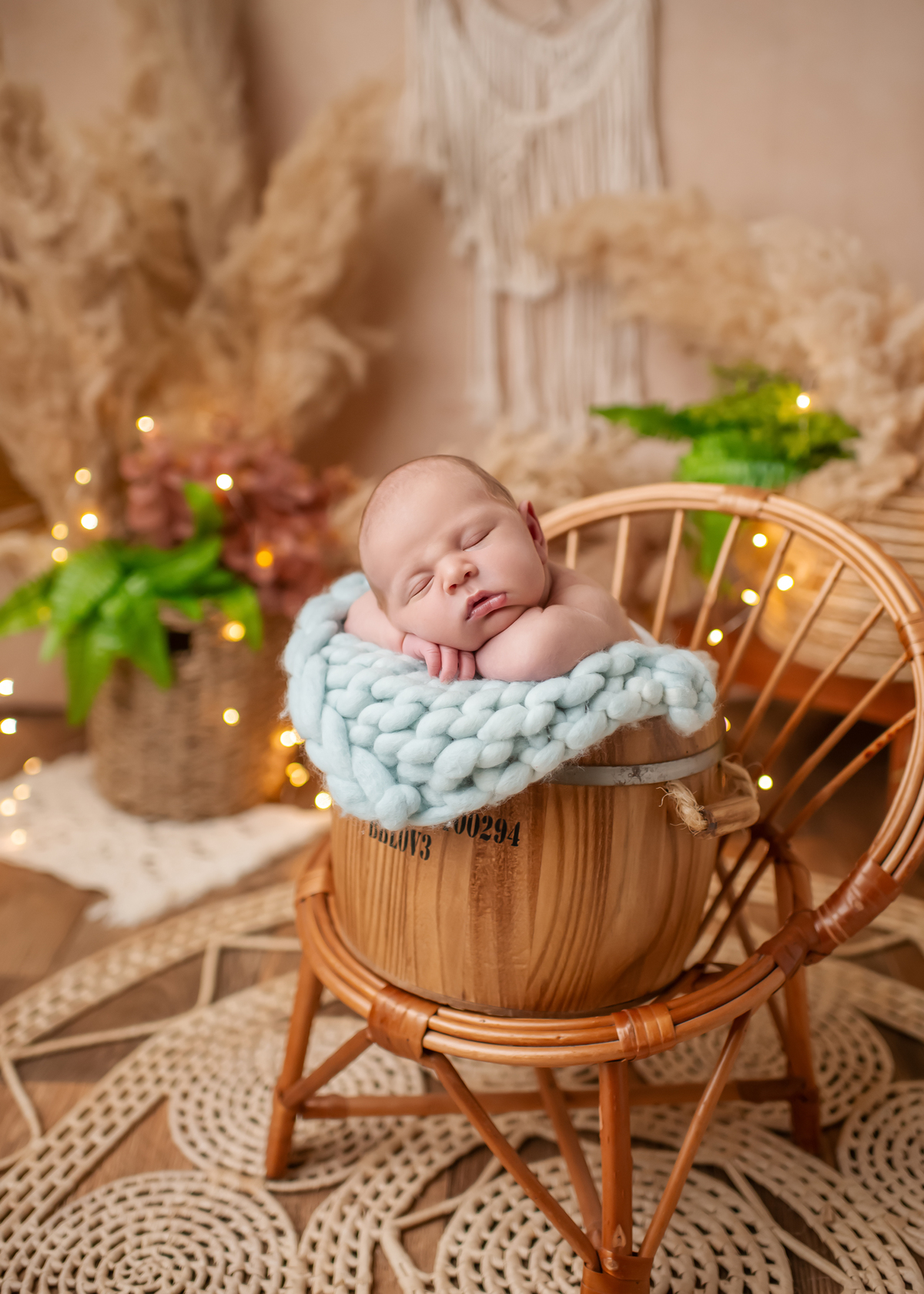 muito agradecida sempre