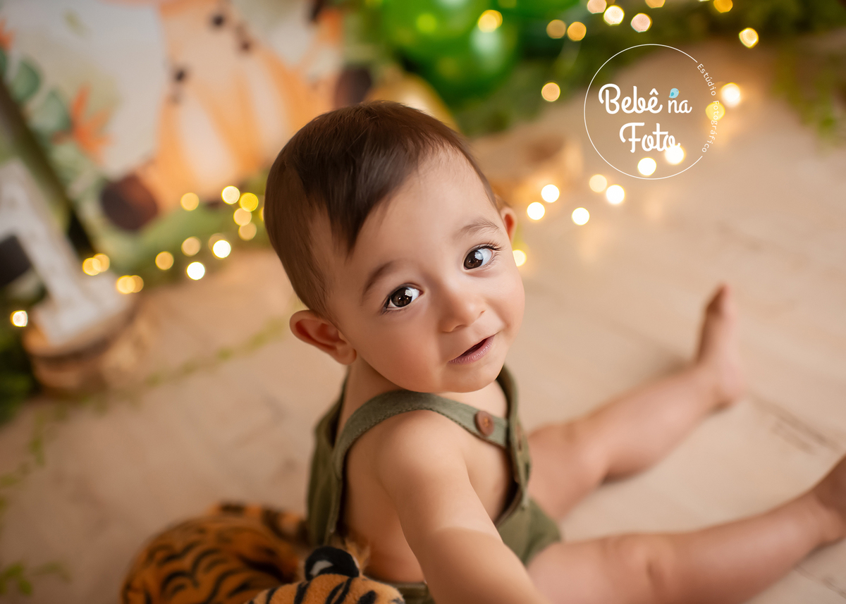 book infantil safari