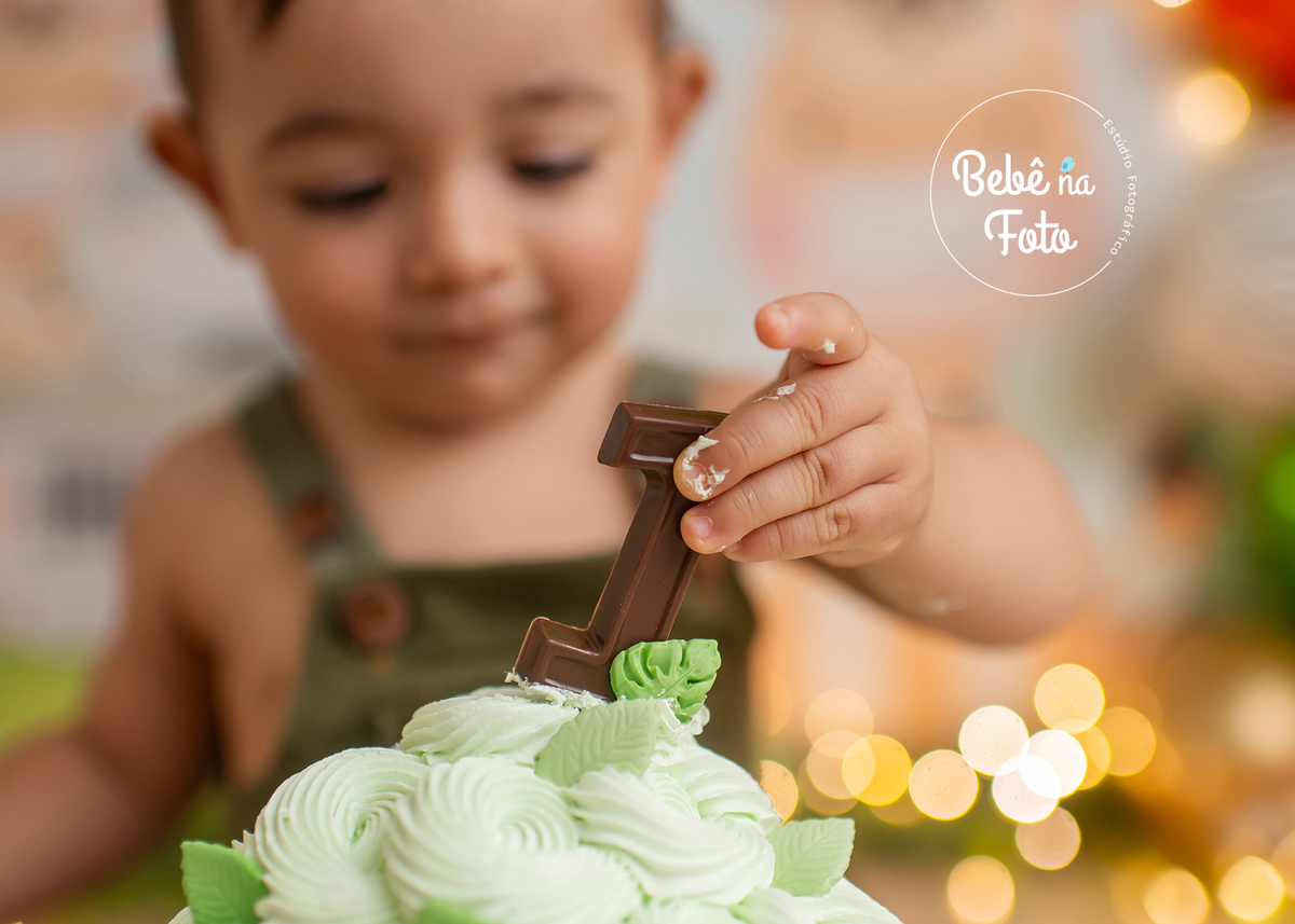 book 1 aninho cachoeirinha