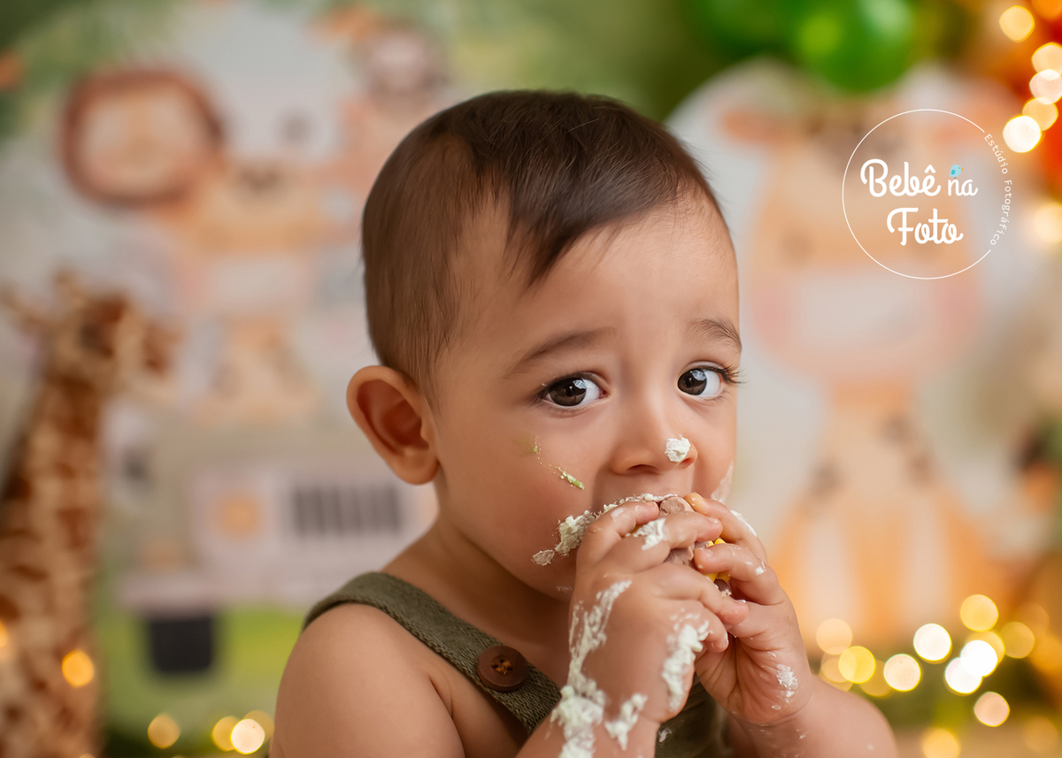 book 1 aninho safari