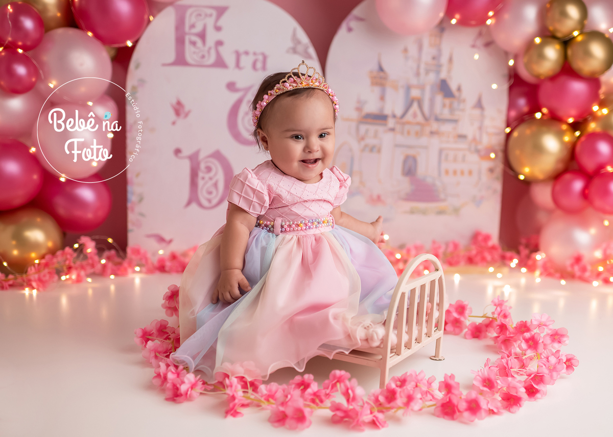 book 1 aninho cachoeirinha