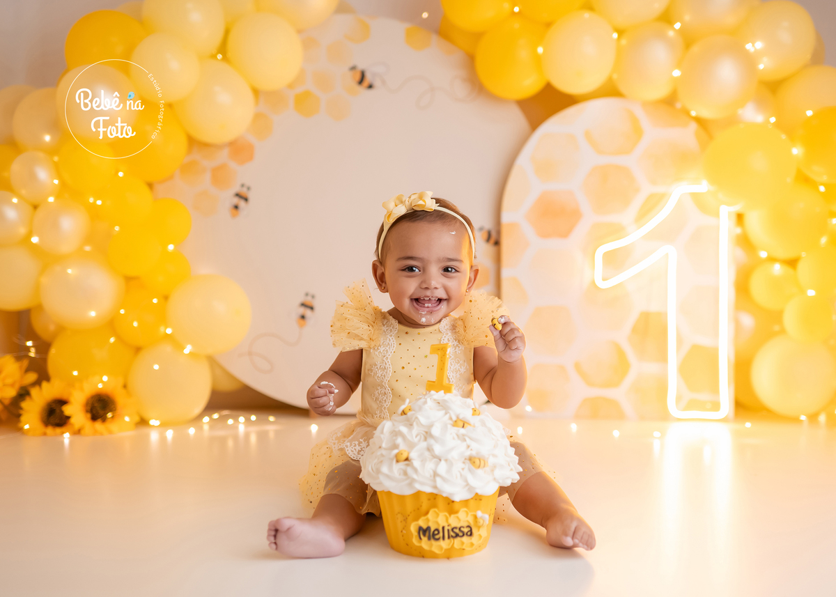 book 1 aninho cachoeirinha