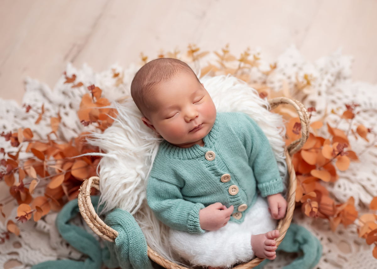 newborn cachoeirinha