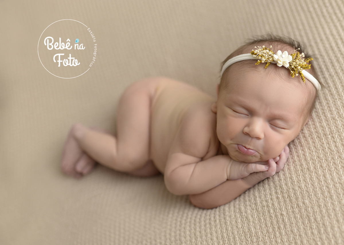 familia bel ferreira