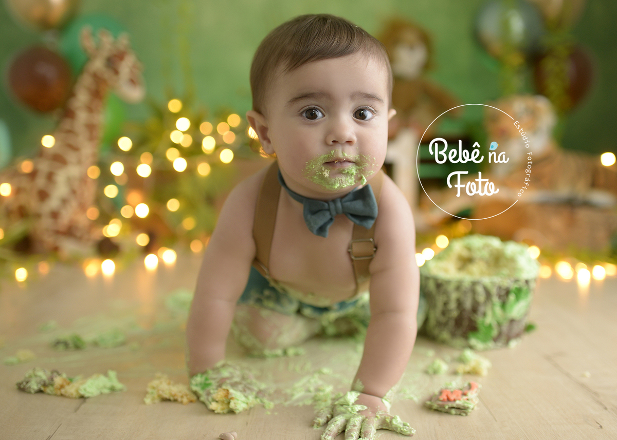 smash the  cake safari