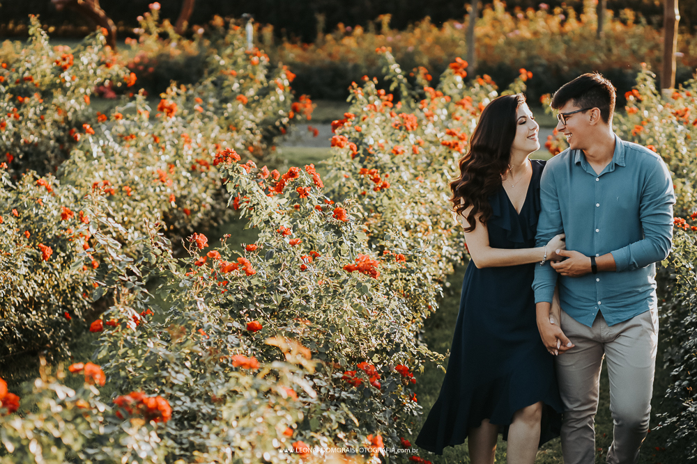 ensaio-prewedding-holambra-rosas