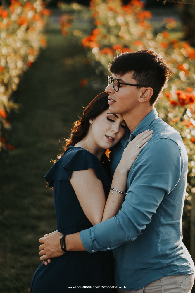 ensaio-prewedding-holambra-rosas