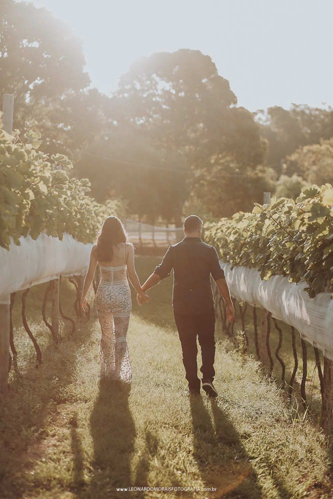 ensaio-prewedding-plantação-uva