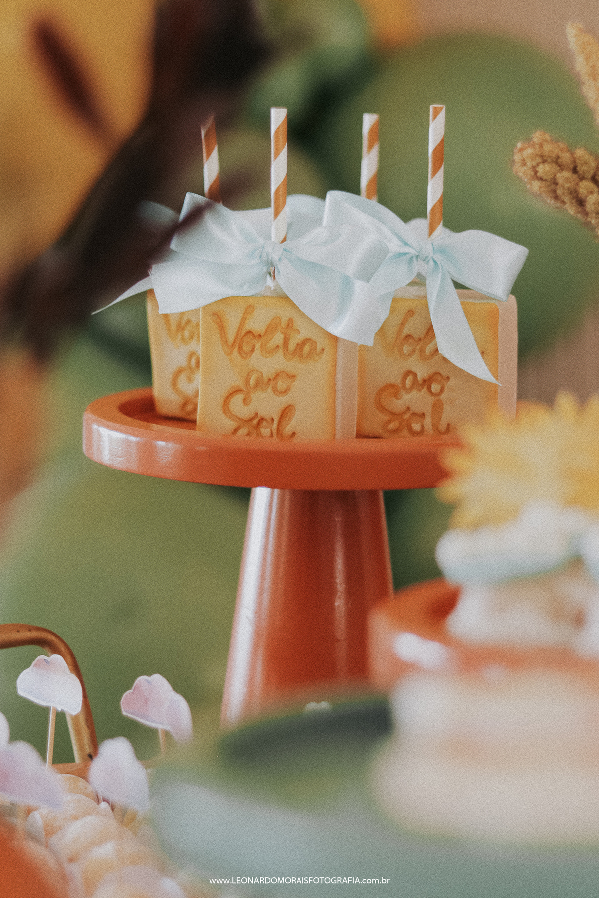 festa-infantil-aniversario-fotos