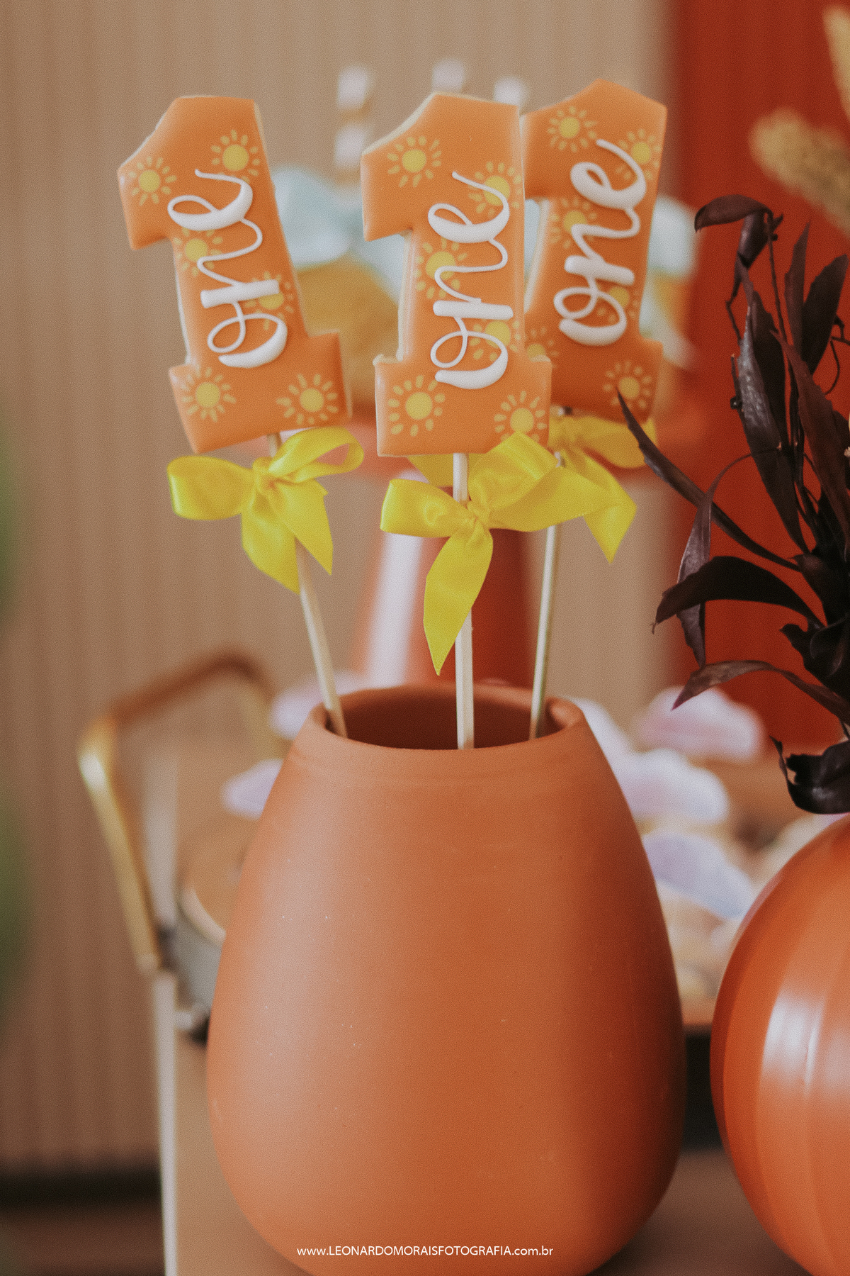 festa-infantil-aniversario-fotos