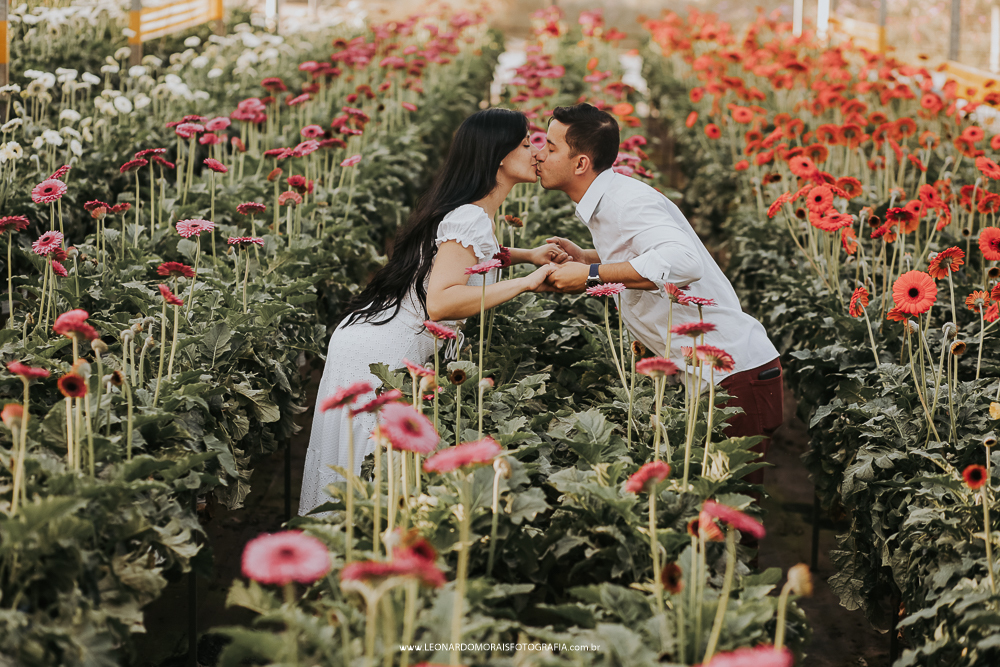 prewedding-plantação