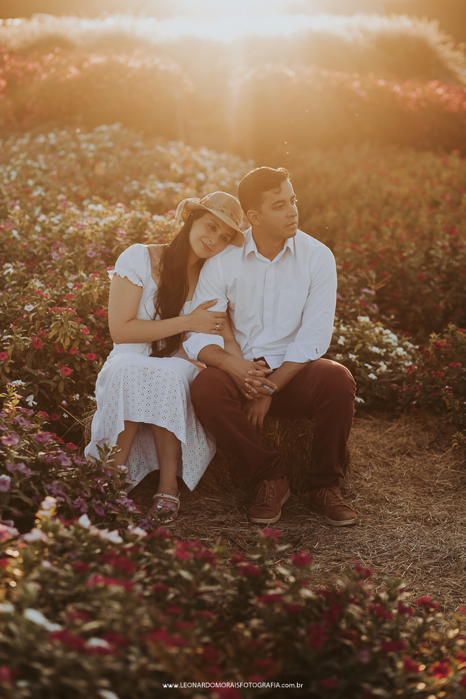 prewedding-pordosol-ensaio-holambra