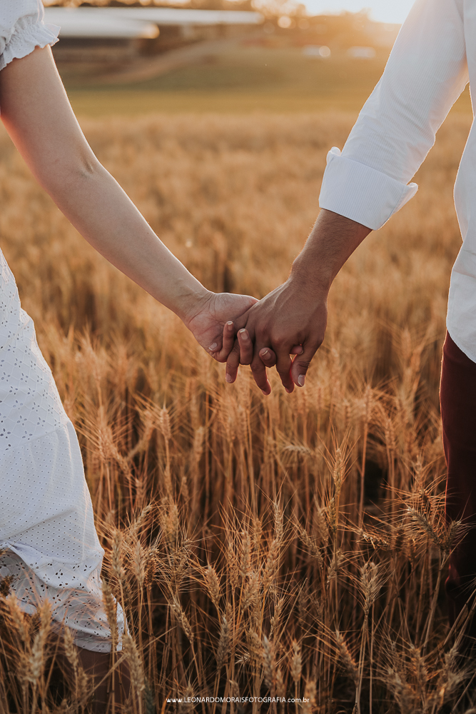 plantação-de-trigo-pre-wedding