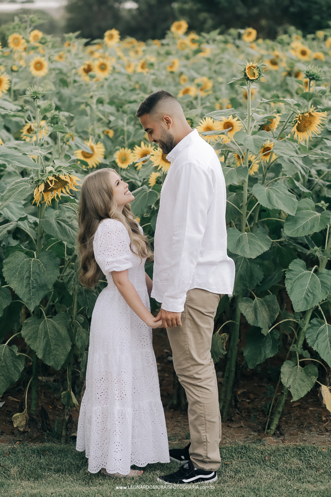 plantação-girassol-prewedding-holambra