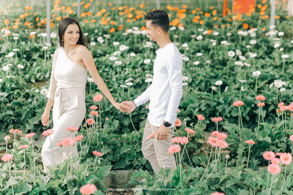 ensaio-pre-wedding-holambra