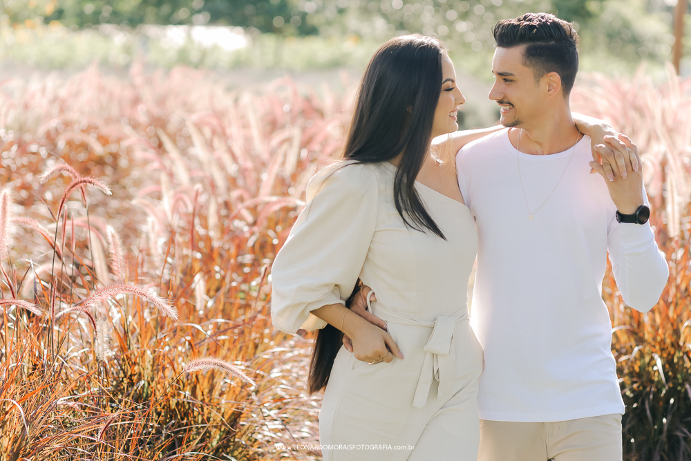 ensaio-pre-wedding-holambra-capim-do-texas