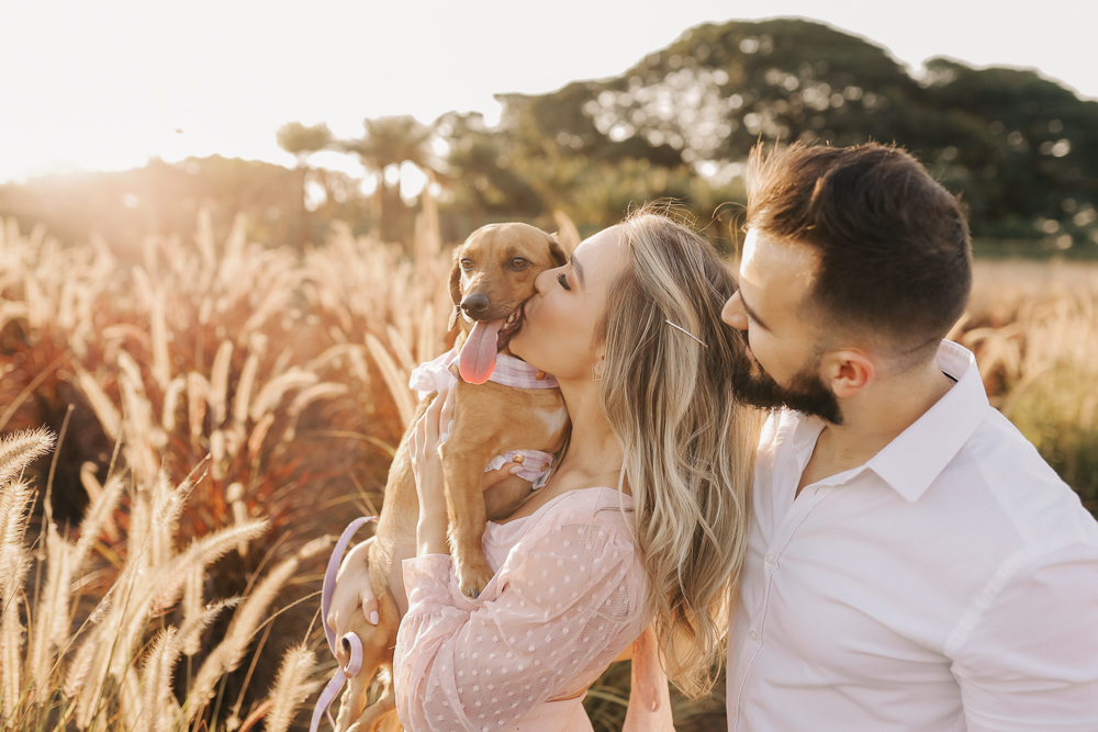 ensaio-prewedding-campo-holambra-por-do-sol