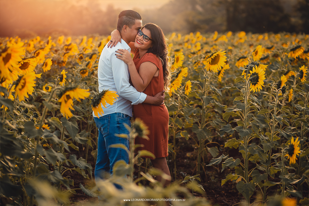 pre wedding girassol sumare - cassia e denis