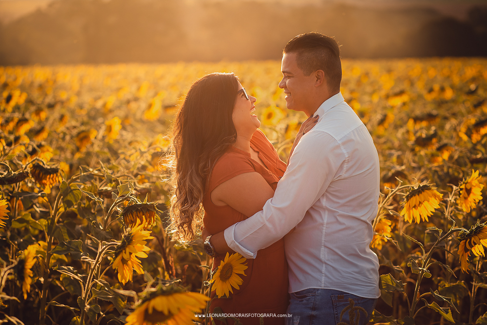 pre wedding girassol sumare - cassia e denis