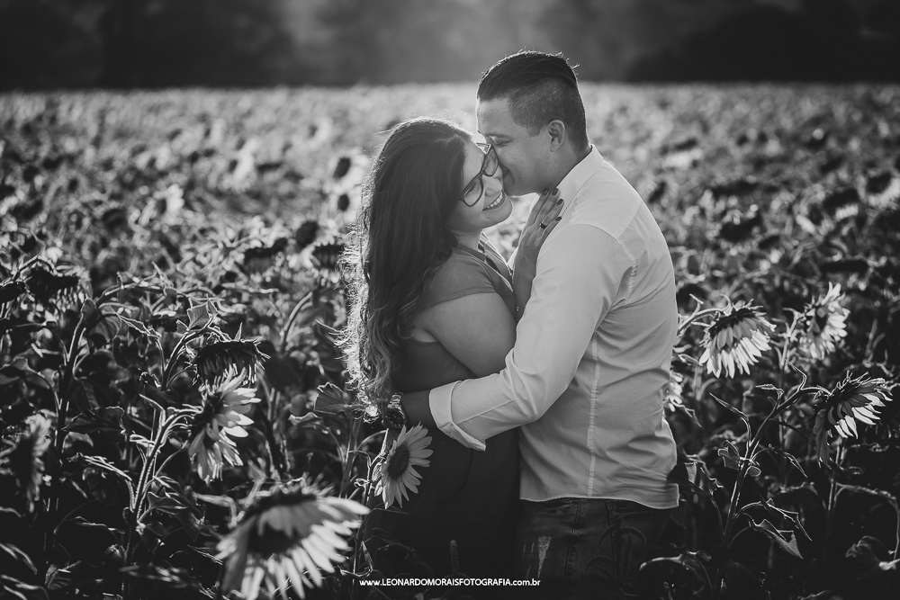 pre wedding girassol sumare - cassia e denis