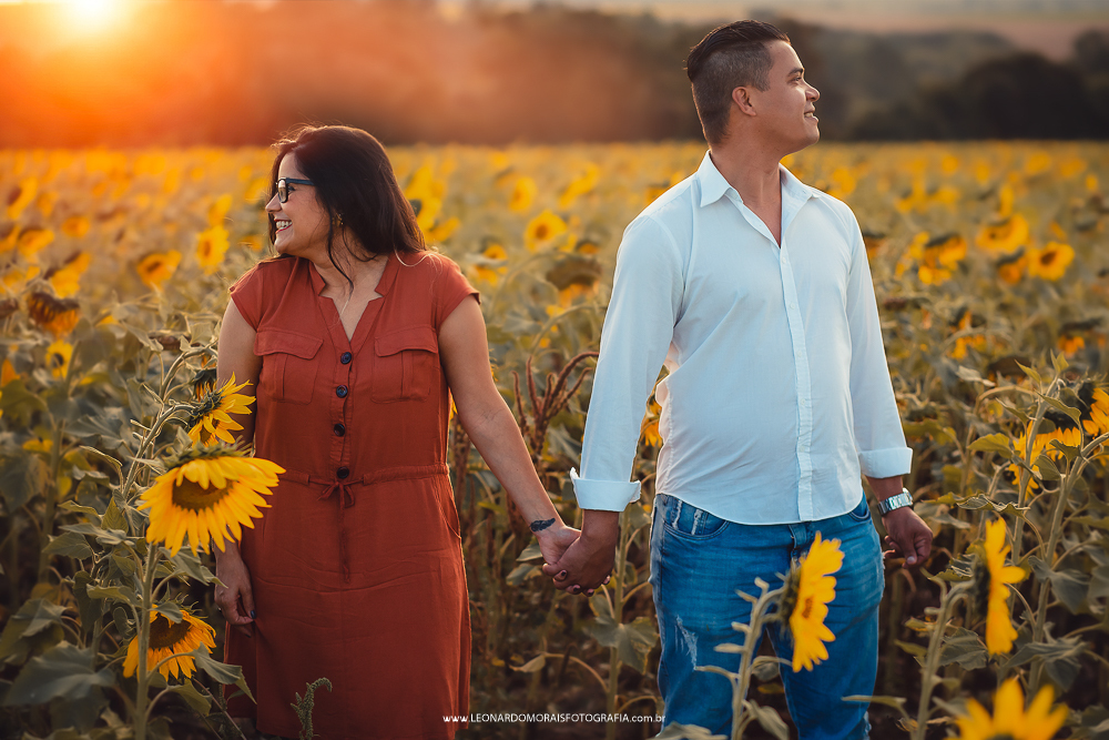 pre wedding girassol sumare - cassia e denis