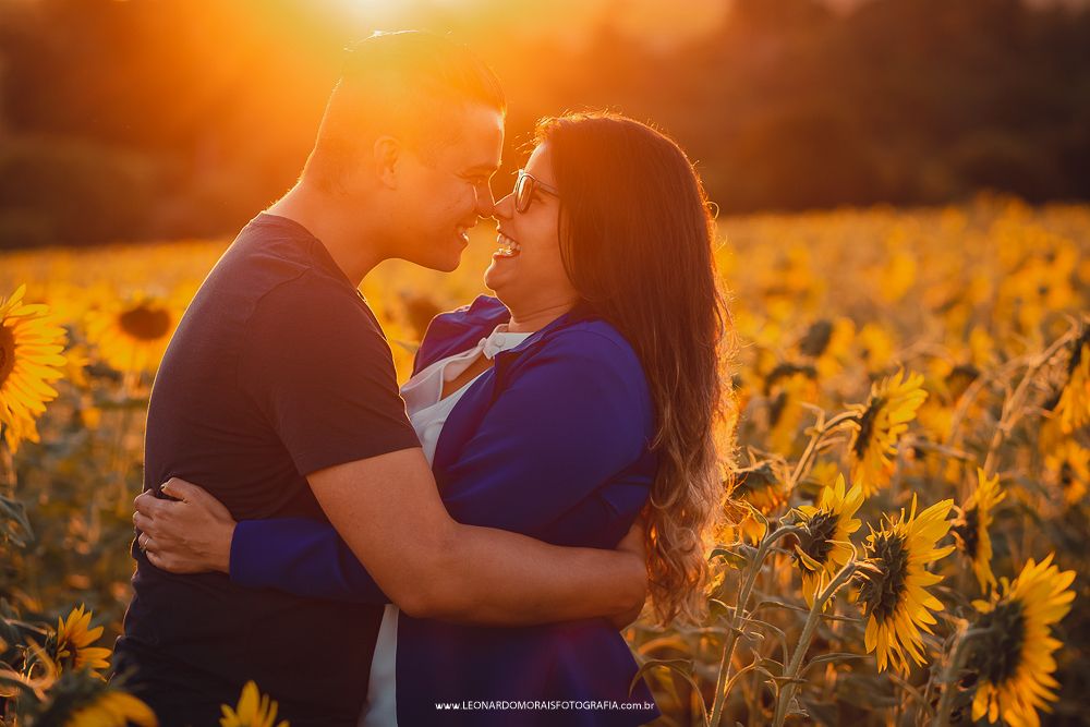 pre wedding girassol sumare - cassia e denis