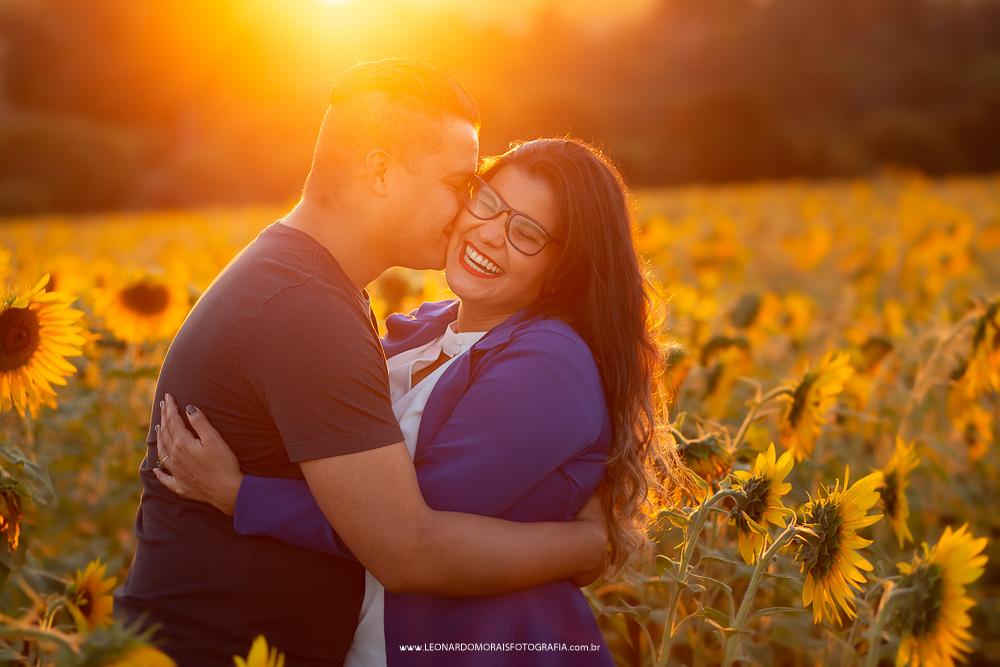 pre wedding girassol sumare - cassia e denis - foto por do sol