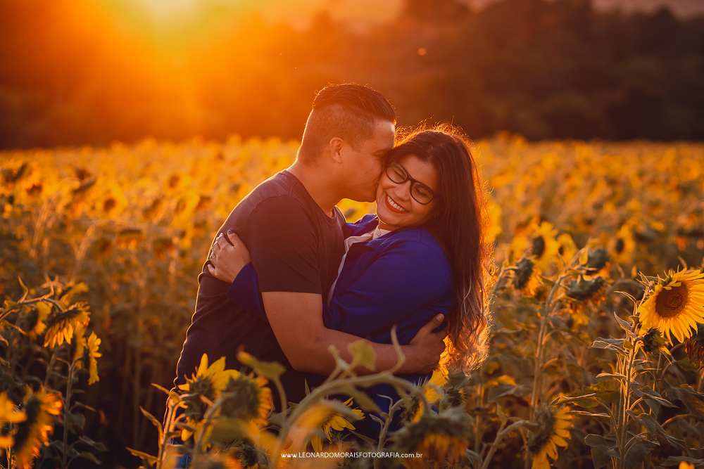 pre wedding girassol sumare - cassia e denis - foto por do sol