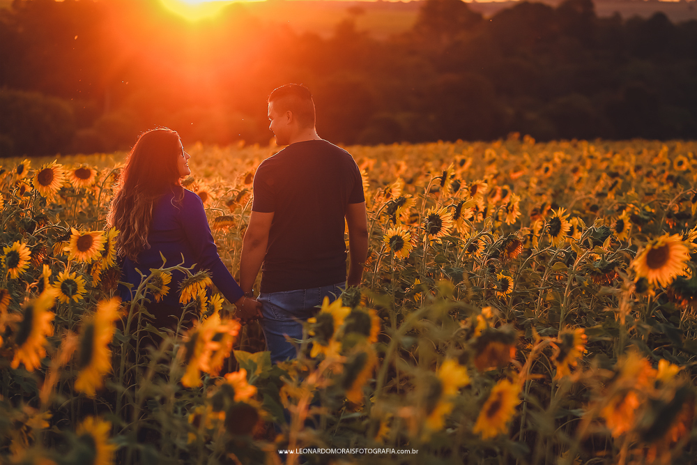 pre wedding girassol sumare - cassia e denis - foto por do sol