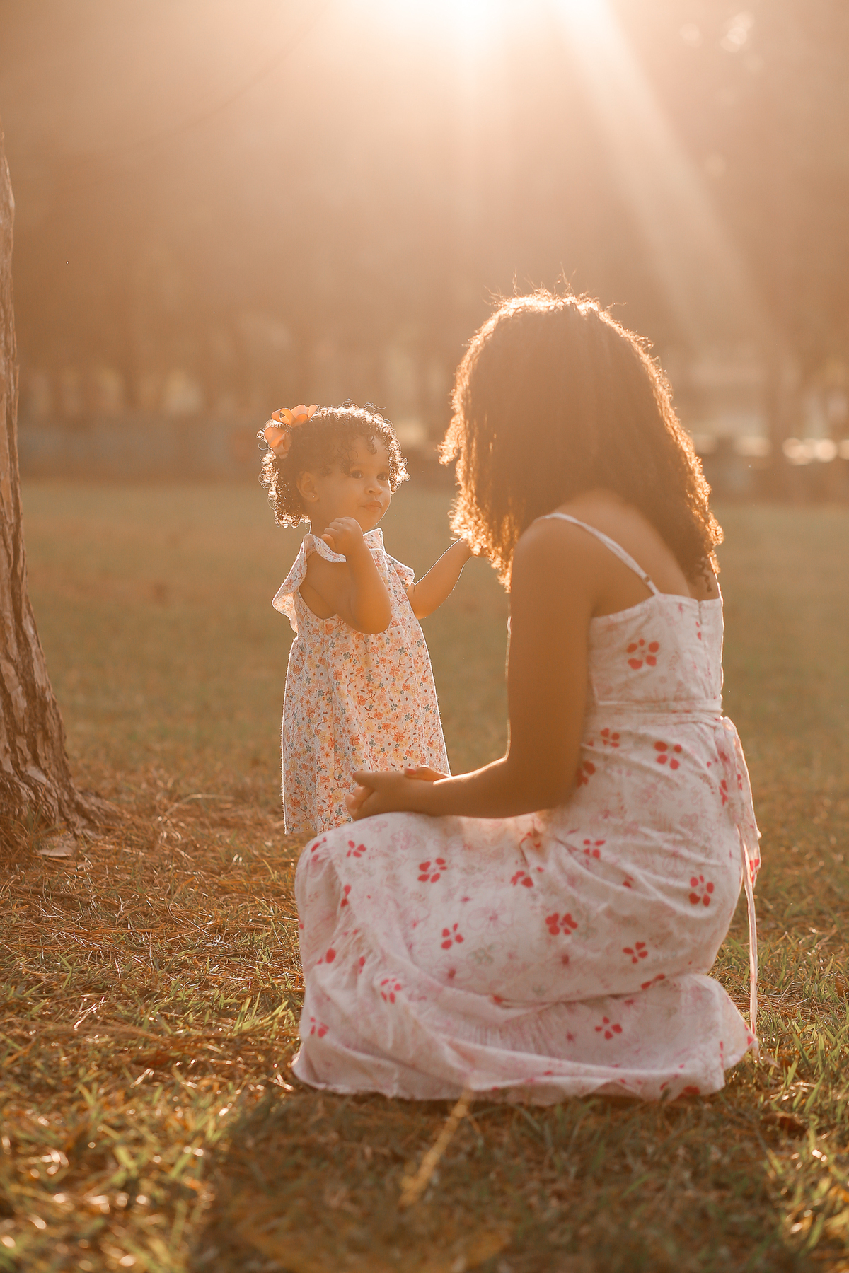 ensaio externo de familia em vinhedo